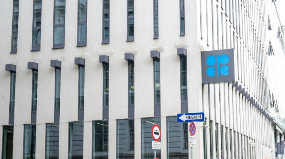 Emirados &Aacute;rabes Unidos v&atilde;o deixar Opep a partir de maio