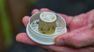 Una empresa en EEUU propone combatir los mosquitos con... 600.000 mosquitos