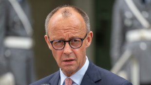 Merz zur Stromsteuer: Pr&uuml;fen "mit gutem Willen" auch Senkung f&uuml;r Privathaushalte