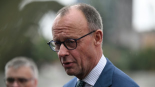 Merz will Steuererleichterungen f&uuml;r Unternehmen noch vor Sommerpause