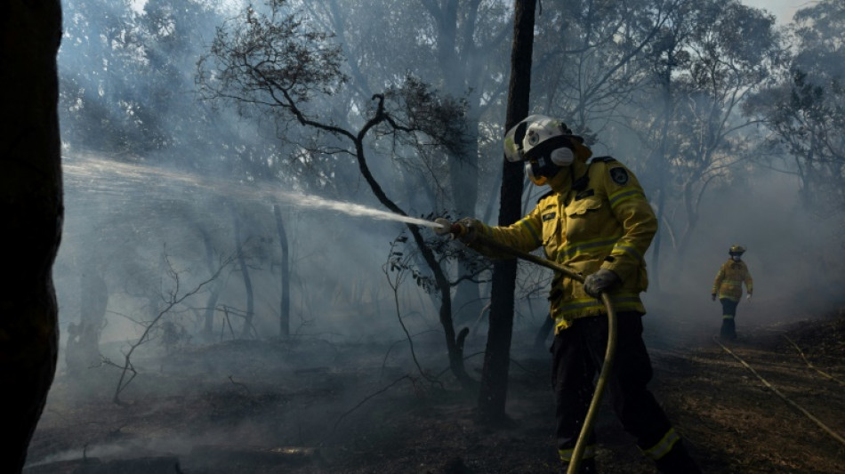 Warnung vor "Horror-Sommer": Schon jetzt Waldbr&auml;nde in Australien au&szlig;er Kontrolle