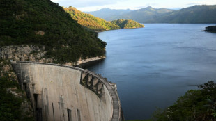 Les cormorans, la b&ecirc;te noire des p&ecirc;cheurs du plus grand lac artificiel du Honduras