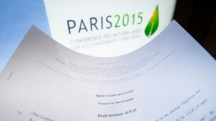 Studie: Klimaziele der Industrieländer reichen für Pariser Abkommen nicht aus