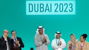 Weltklimakonferenz in Dubai beschließt "Übergang" weg von fossilen Energien