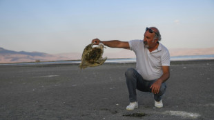 Polvo, huesos y animales "sedientos" en un lago menguante en Turqu&iacute;a