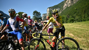 Tour de France: la 10e &eacute;tape interrompue pr&egrave;s de 15 minutes par des manifestants