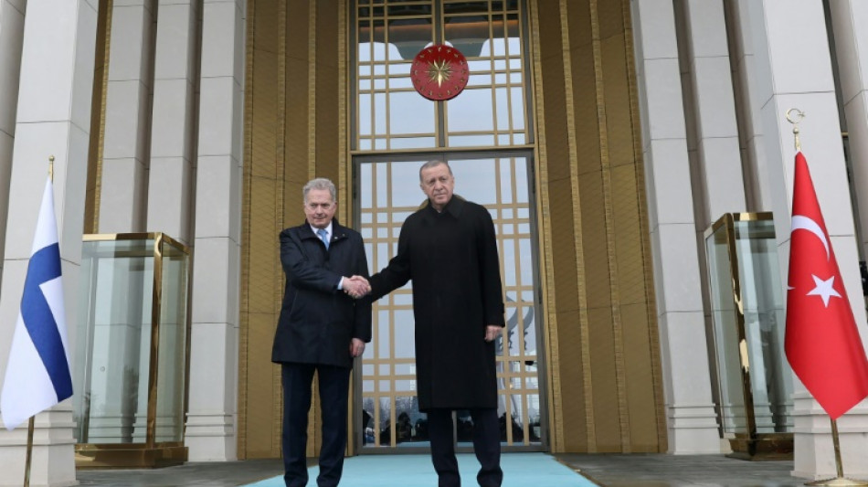 Erdogan pide al Parlamento turco ratificar la adhesi&oacute;n de Finlandia a la OTAN