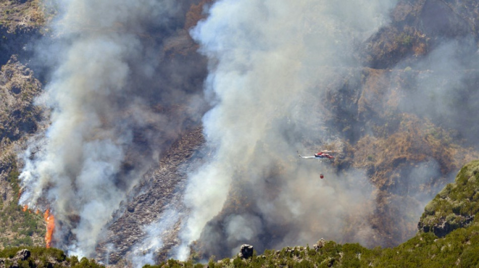 EU sendet L&ouml;schflugzeuge gegen Waldbr&auml;nde auf Madeira