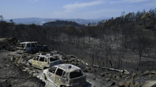 Waldbrand im Nordwesten Spaniens zerstört etwa 600 Hektar Land