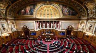 Frankreich will Entscheidungsfreiheit zur Abtreibung in der Verfassung verankern