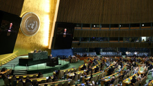 Assembleia Geral da ONU pede "todas as medidas necess&aacute;rias" para pressionar Israel