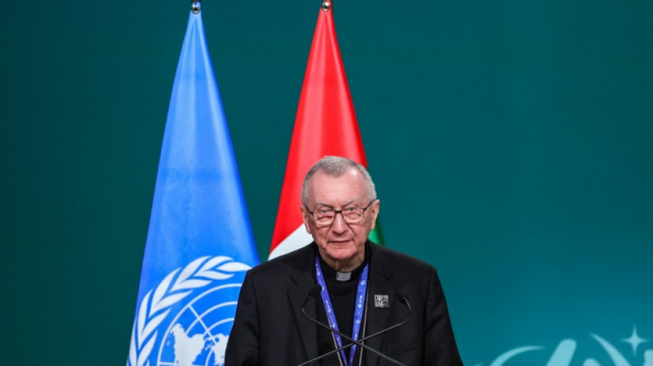 El papa pide que la COP28 sea "un punto de inflexi&oacute;n" para acelerar la transici&oacute;n ecol&oacute;gica