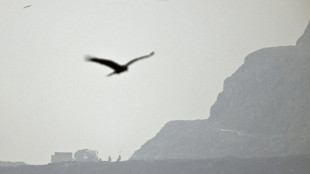 Quemas agr&iacute;colas ilegales alimentan la contaminaci&oacute;n en la capital india