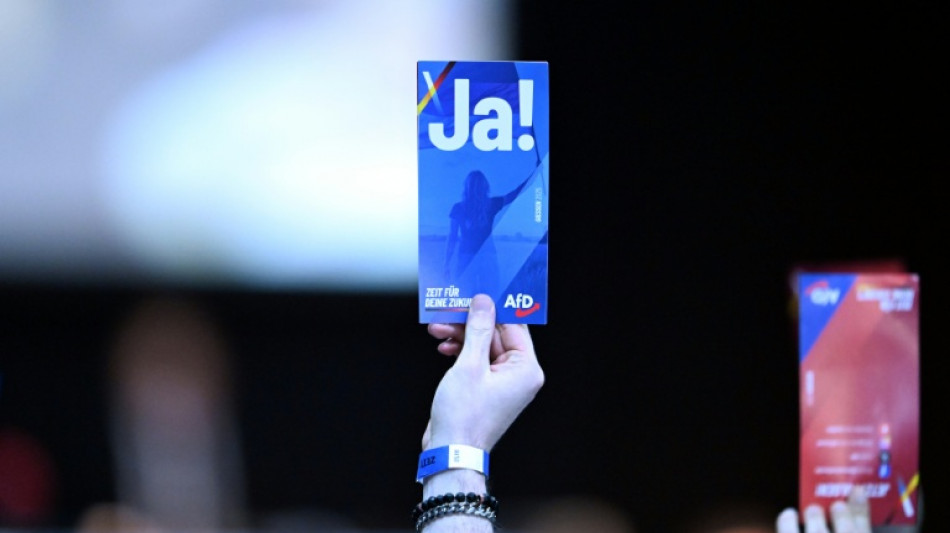 Statut f&uuml;r neue AfD-Jugendorganisation beschlossen