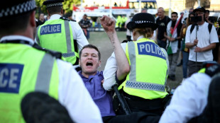 Cerca de 70 inculpados en Londres por manifestarse en apoyo de una organizaci&oacute;n propalestina prohibida