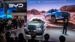 BYD: Italien wegen Baus neuer Autofabrik mit chinesischem Hersteller in Kontakt