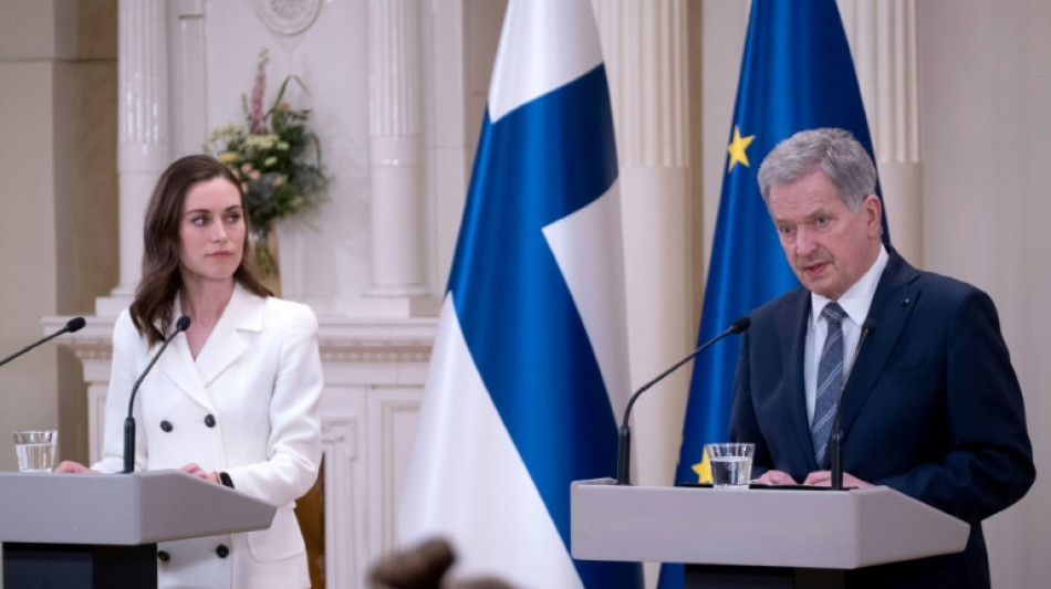 Swedish, Finnish MPs debate NATO membership