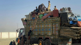 5 killed in Afghan-Pakistan border fire despite peace talks: official