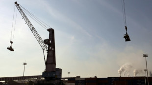 Lazaro Cardenas, le port mexicain en premi&egrave;re ligne de la guerre commerciale lanc&eacute;e par Trump