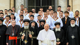 Papa Francisco recebe líder copta em audiência inédita no Vaticano