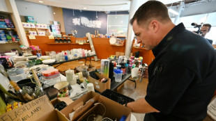 Incendies, gr&egrave;ves, IA: les petites mains d'Hollywood en pleine crise existentielle