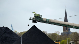 Russische Kohle laut Importeuren bis Jahresende vollständig ersetzbar