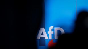 AfD liegt in allen f&uuml;nf ostdeutschen Fl&auml;chenl&auml;ndern deutlich vorn