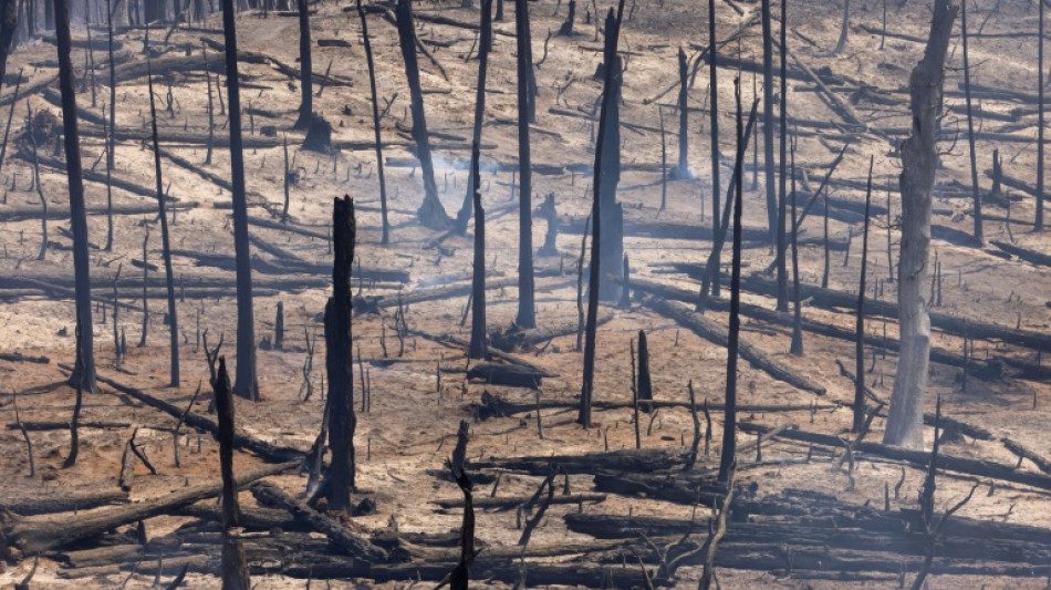 "Extrem gefährlicher" Waldbrand in Kalifornien erst zu 16 Prozent eingedämmt