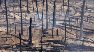 "Extrem gefährlicher" Waldbrand in Kalifornien erst zu 16 Prozent eingedämmt