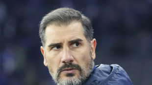 Medien: Hertha trennt sich von Fi&eacute;l - kommt Leitl?