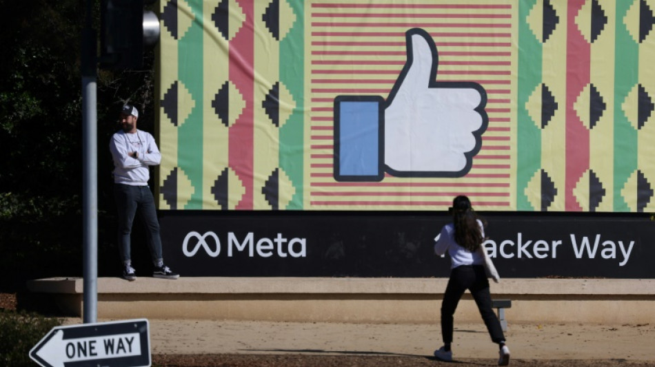 El regulador alem&aacute;n sit&uacute;a a Meta (Facebook) bajo vigilancia reforzada