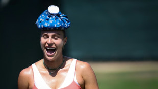 Des joueurs aux spectateurs, Wimbledon compose avec la chaleur