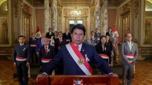 La OEA convoca una sesi&oacute;n extraordinaria a pedido de Per&uacute; por la crisis pol&iacute;tica