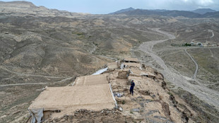 En Afghanistan, une cit&eacute; bouddhiste mill&eacute;naire menac&eacute;e de disparition