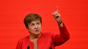 Diretora do FMI, Kristalina Georgieva &eacute; a &uacute;nica candidata &agrave; sua sucess&atilde;o