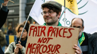 Fran&ccedil;a em p&eacute; de guerra contra o acordo UE-Mercosul