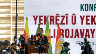 Kurdos de Siria piden la construcci&oacute;n de un Estado "democr&aacute;tico y descentralizado"