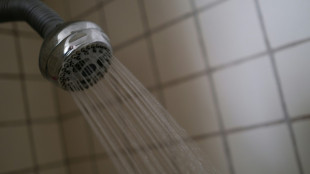 Trump ordnet Erh&ouml;hung von Wasserdruck f&uuml;r Duschk&ouml;pfe an