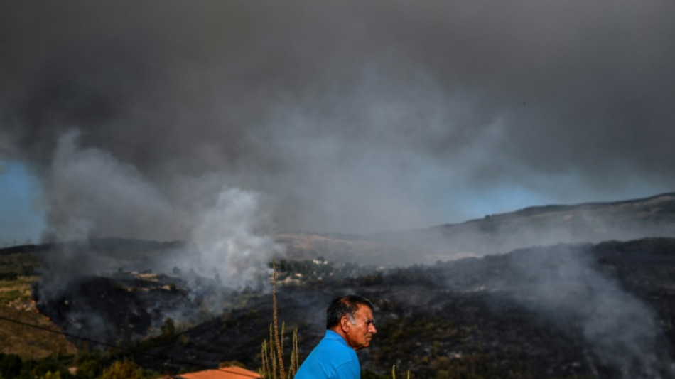 Portugal und Spanien kämpfen weiter gegen Waldbrände