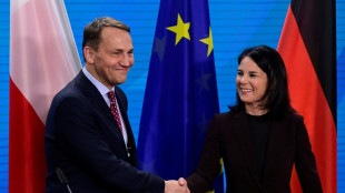 20 Jahre EU-Erweiterung: Baerbock trifft polnischen Außenminister Sikorski