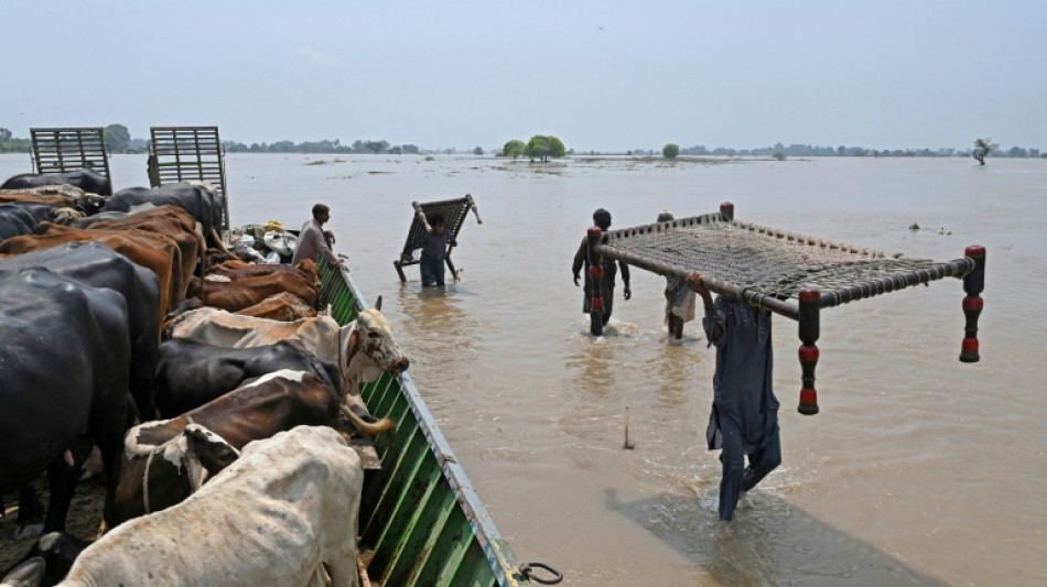 Etwa 100.000 Menschen vor Überschwemmungen in Pakistan in Sicherheit gebracht