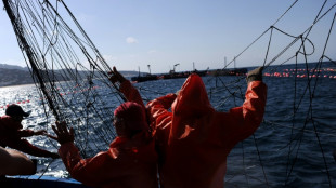 Finaliza búsqueda de sobrevivientes del naufragio de un pesquero español en aguas de Canadá 