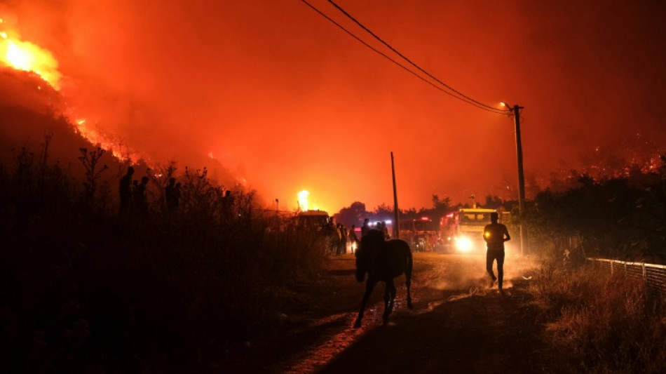Turkey battles wildfires as heatwave grips Med