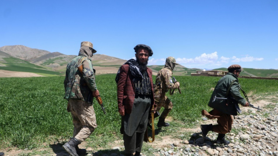 A violenta erradicação do ópio no Afeganistão