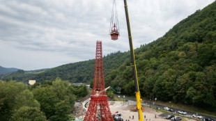 En Alsace, l'incroyable montage d'une fid&egrave;le r&eacute;plique de tour Eiffel