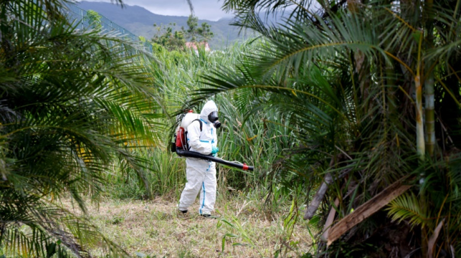 La R&eacute;union: cinq nouveaux d&eacute;c&egrave;s imput&eacute;s au chikungunya malgr&eacute; une &eacute;pid&eacute;mie en d&eacute;crue