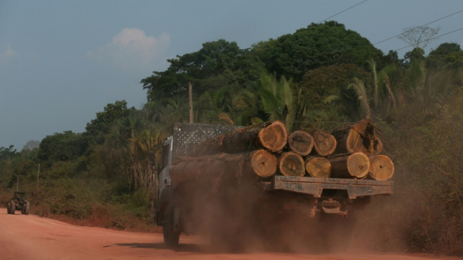 Deforestaci&oacute;n en Amazon&iacute;a brasile&ntilde;a registra r&eacute;cord para septiembre