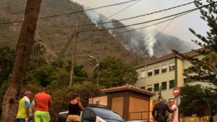 Incendie aux Canaries: les pompiers ont pu prot&eacute;ger des maisons durant la nuit