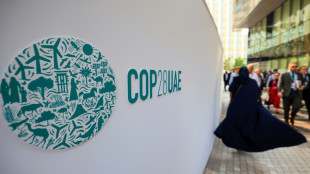 "Fracasar no es una opción", advierte presidente de la COP28