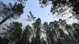 Los incendios forestales no dan tregua en Europa